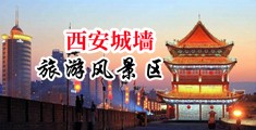 淫水嫩穴白虎极品中国陕西-西安城墙旅游风景区